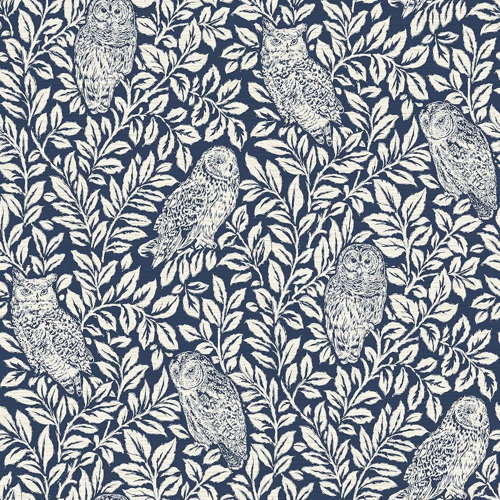 NuWallpaper NUS4394 Sleepy Owls Peel & Stick Wallpaper, Navy | Amazon (US)