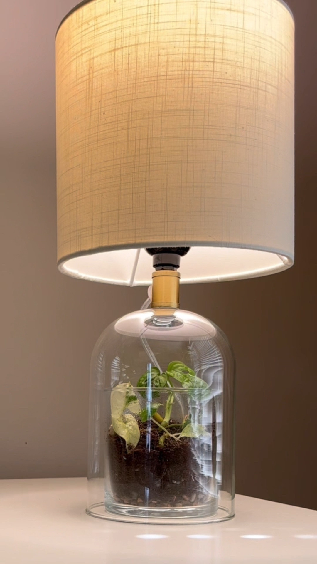 Glass Cylinder Mini Table Lamp … curated on LTK