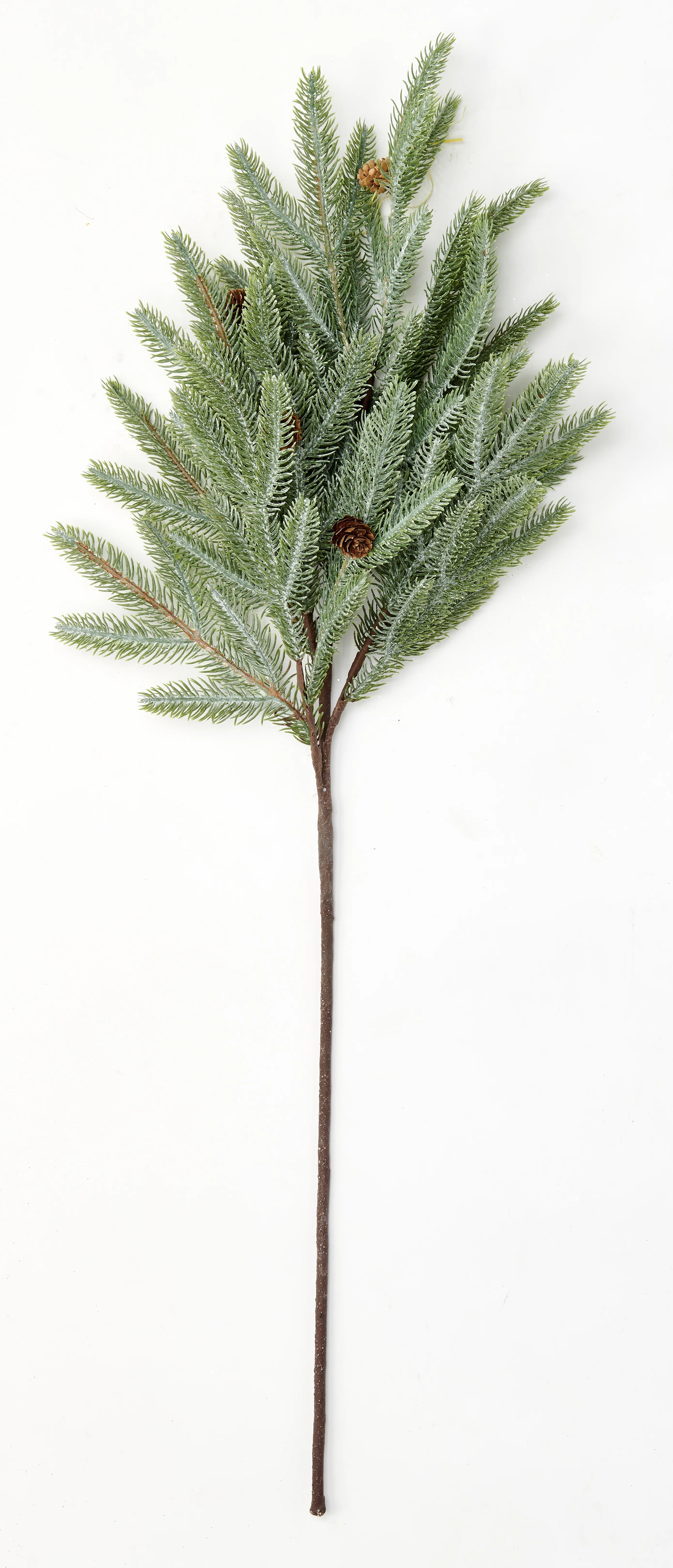 Pine Cone Arrangement | Wayfair North America