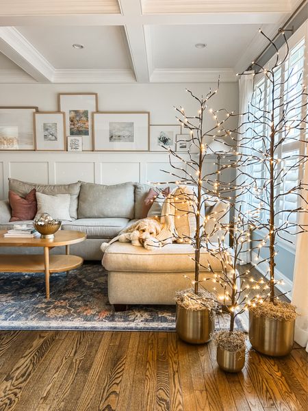 Holiday decor is going up in the living room!

Pre lit birch trees set of 3. Gold planter pot, Nathan James Wood & Rattan Oval Coffee Table.
Living room decor, holiday decor, wood gallery frame, picture ledge, living room rug, blue area rug.
#amazon #livingroom

#LTKHoliday #LTKSeasonal #LTKhome