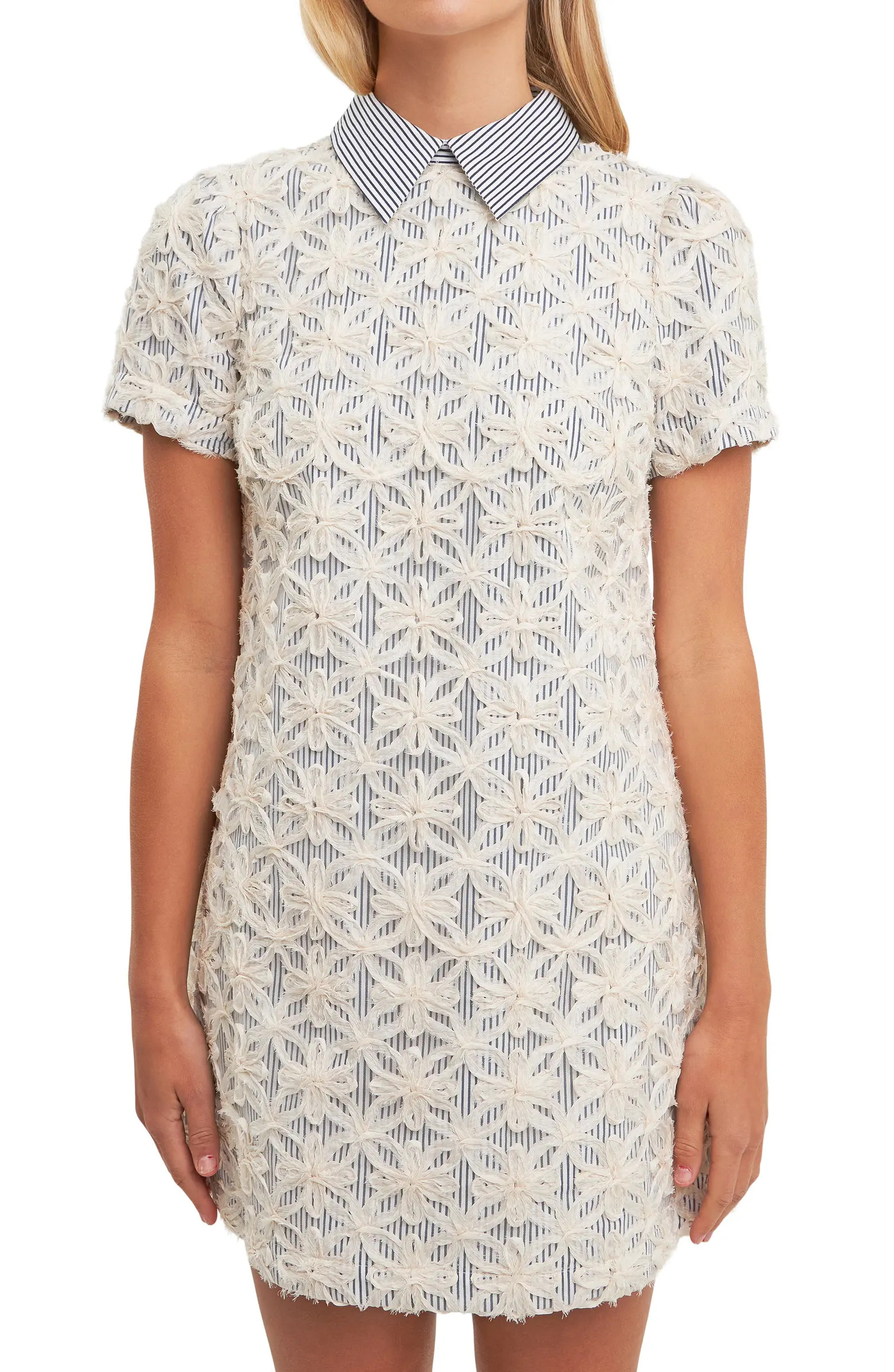 Ribbon Embroidery Minidress | Nordstrom