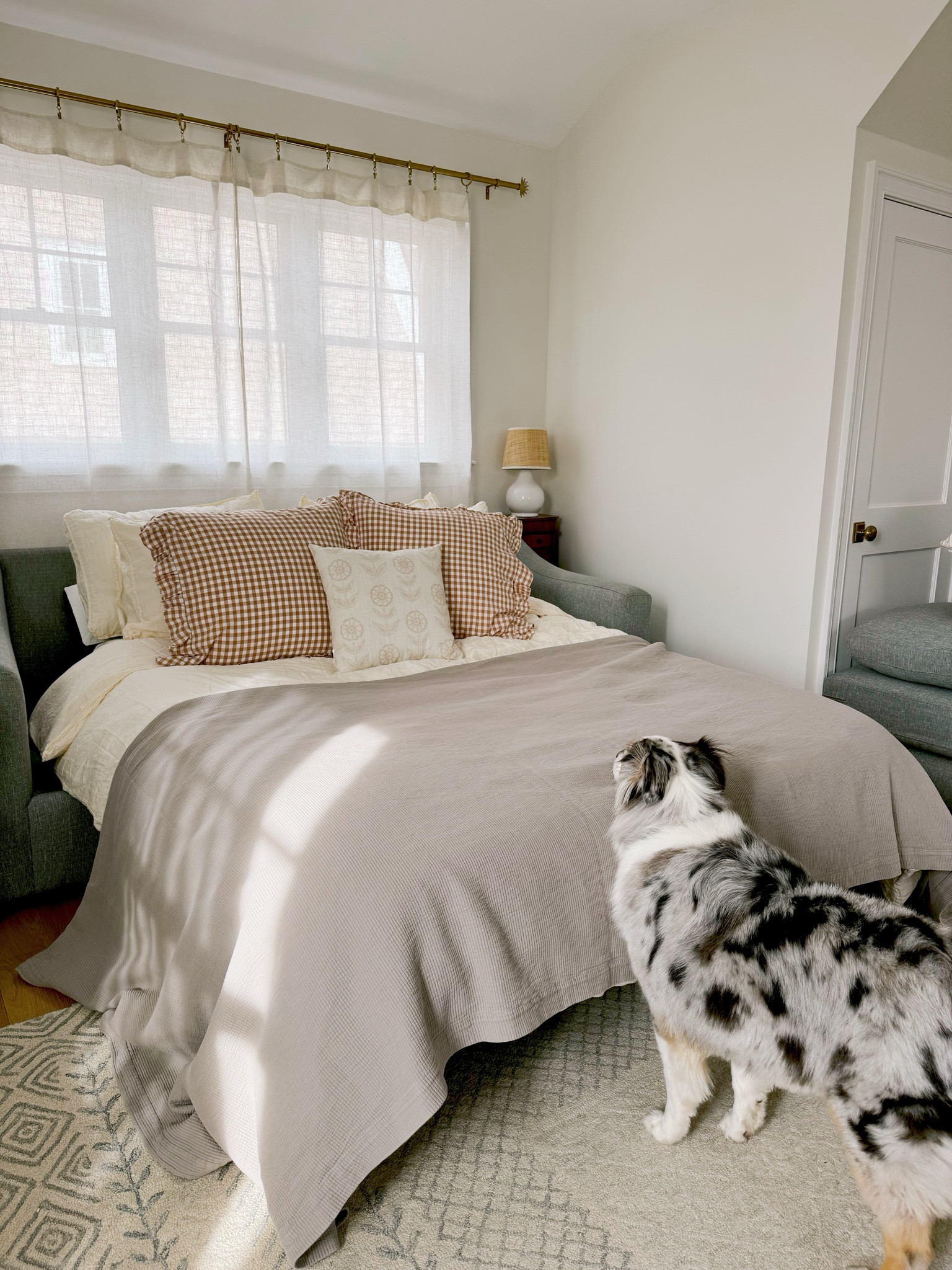 Even dogs agree that Brooklinen bedding can make a stiff, pullout couch look desireable 👍🏼♥️ 

#LTKFamily #LTKHome