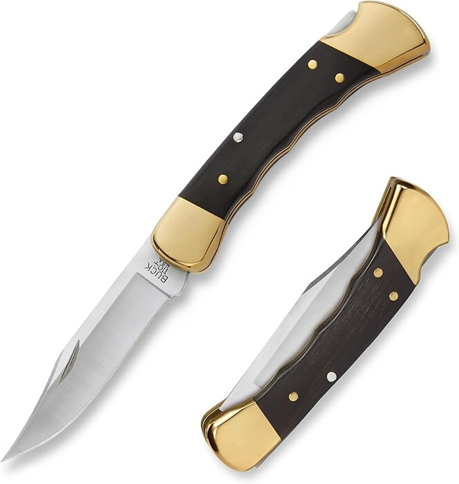 Buck Knives 110 Folding Hunter Knife with Finger Grooves, 3-3/4" Blade, Lockback Design, Ebony Ha... | Amazon (US)