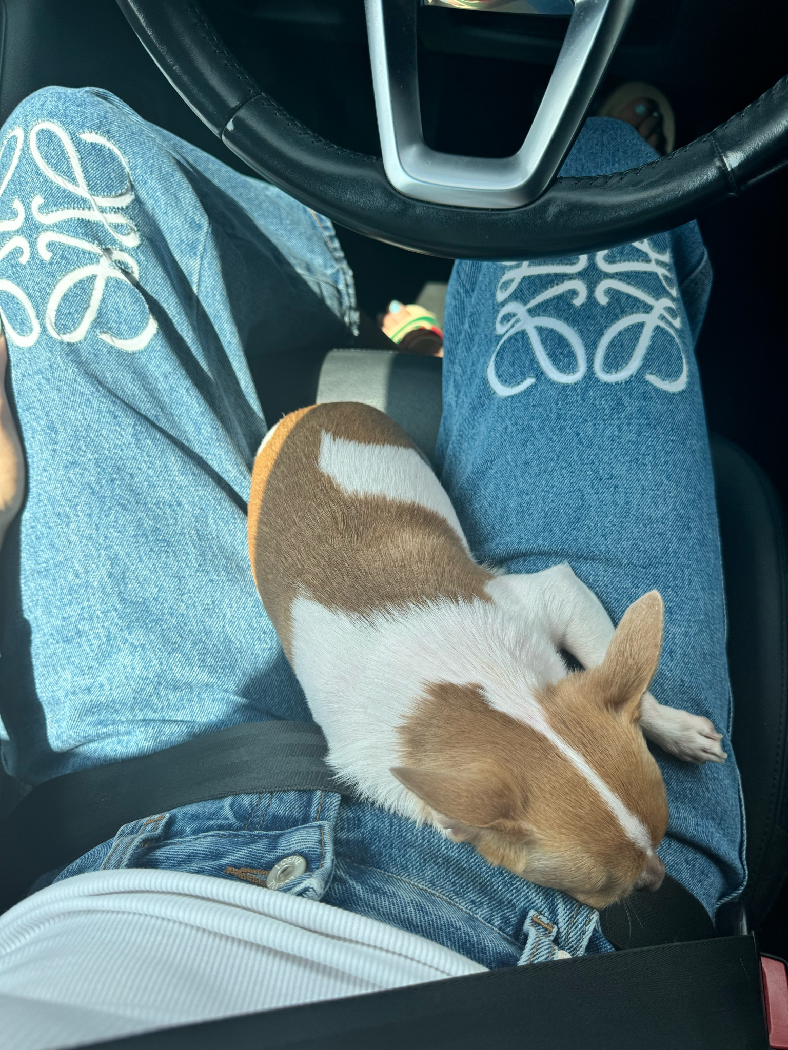 Size down in the jeans

#LTKTravel #LTKOver40 #LTKStyleTip