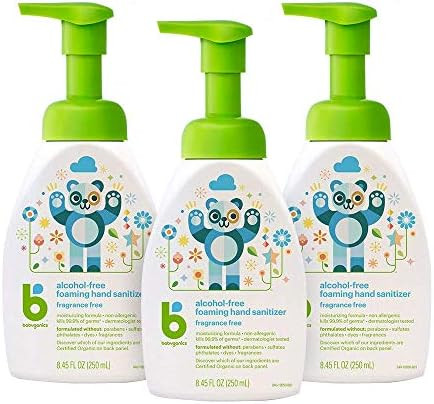 Foaming Pump Hand Sanitizer, Alcohol Free, Unscented, Kills 99.9% of Germs, 8.45oz- Babyganics Pa... | Amazon (US)