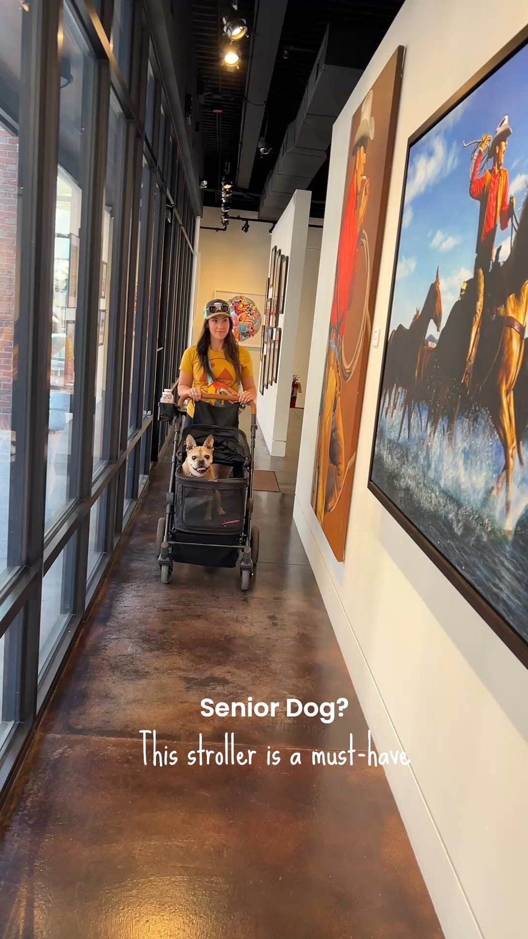 … And she loves it! 

The perfect way to bring your pup with you! The stroller is so well-made, folds flat, the wheels can pop on and off, and there’s even accessories such as cupholders, storage bags, and even a fan! #PetStroller #DogStroller



#LTKstorytime #LTKTravel #LTKPets