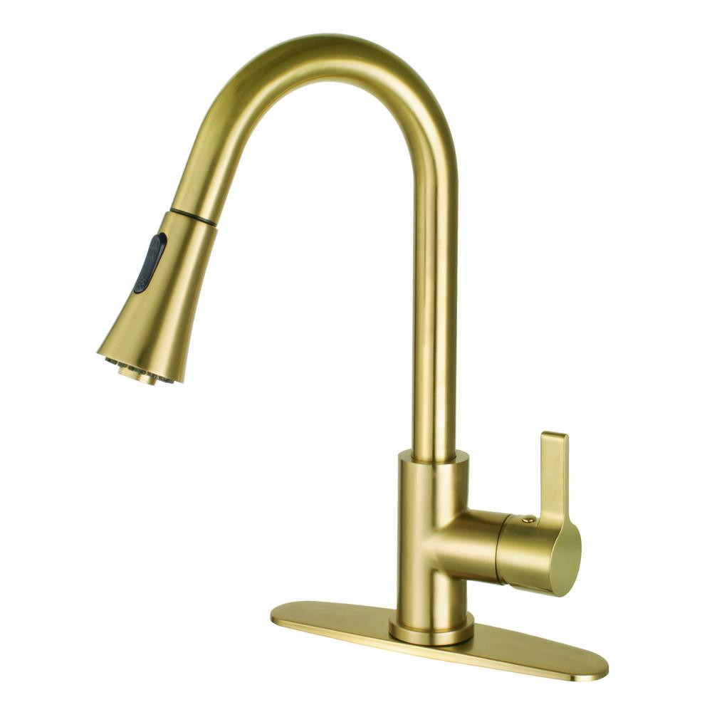 Continental Single-Handle Pull-Down Sprayer Kitchen Faucet in Brushed Brass | The Home Depot