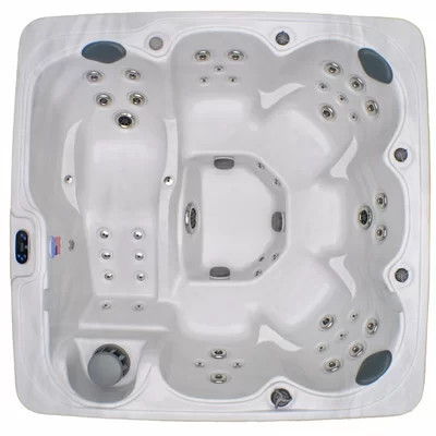 6-Person 71-Jet Hot Tub with Stainless Jets and Ozone System | Wayfair North America