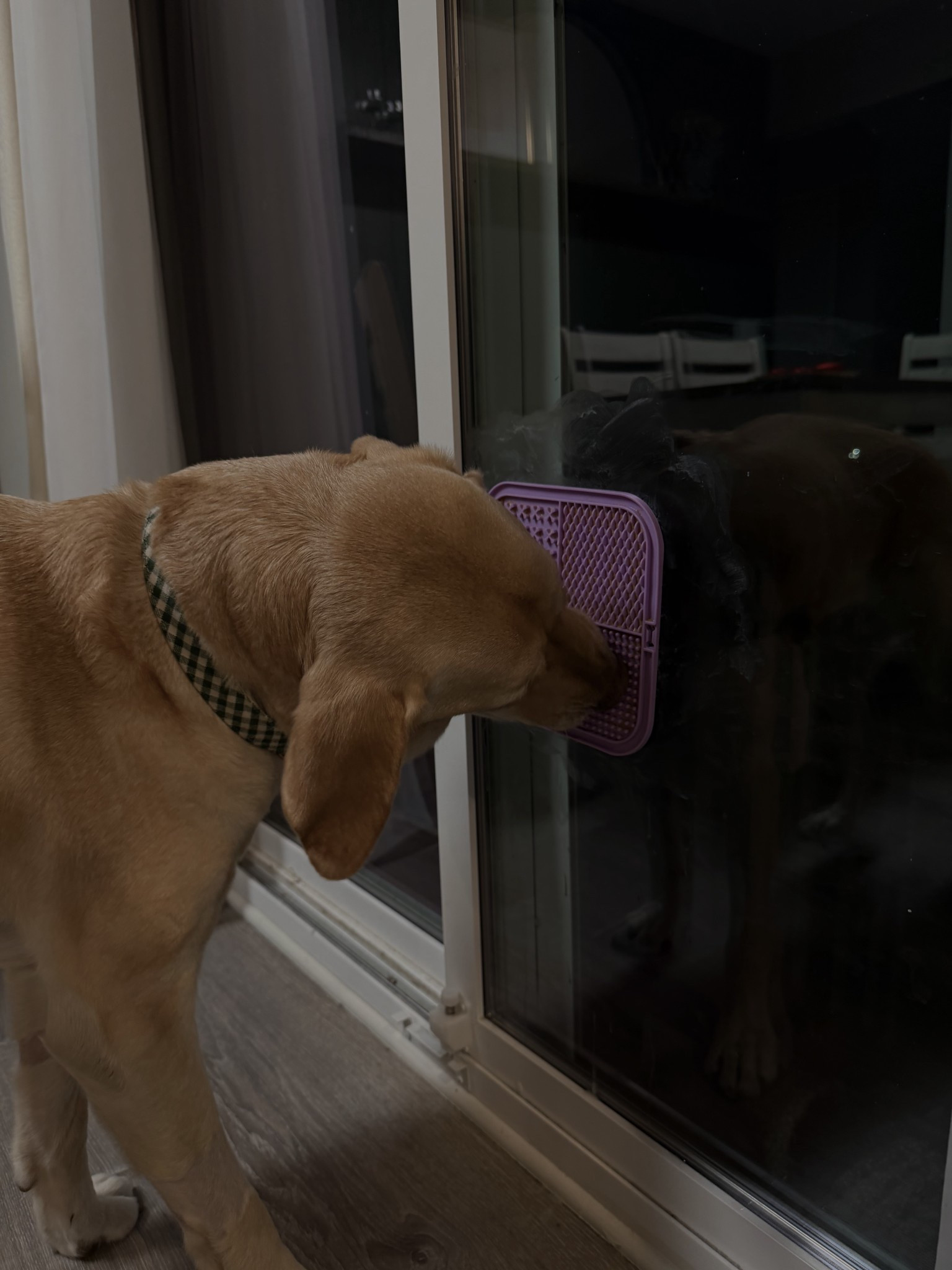 fun way to keep my babe busy! 