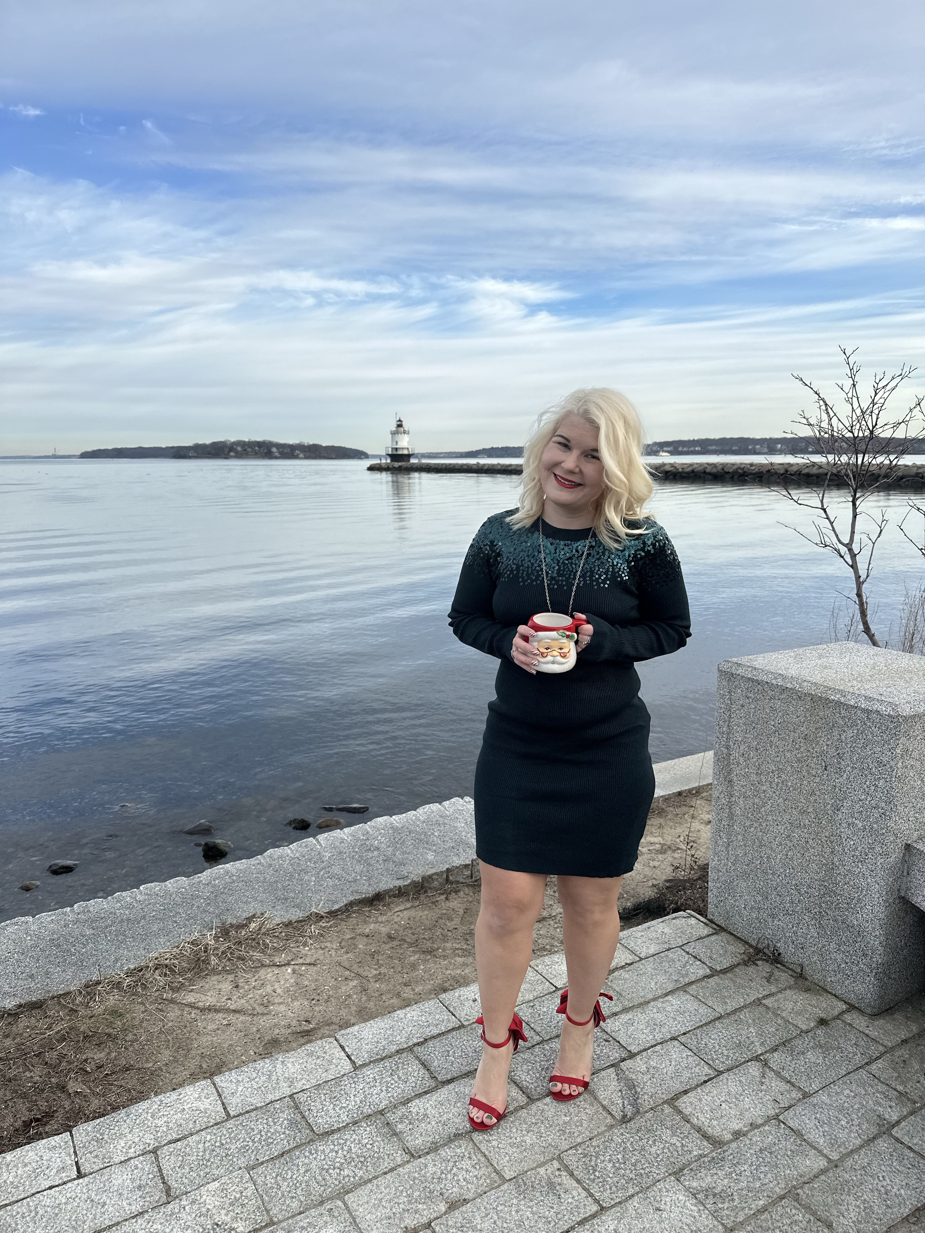 This sweater dress is so fun and festive. I love the subtle sequin detailing at the collar. From Lulu’s fit is true to size. 

#LTKHoliday #LTKStyleTip #LTKSeasonal