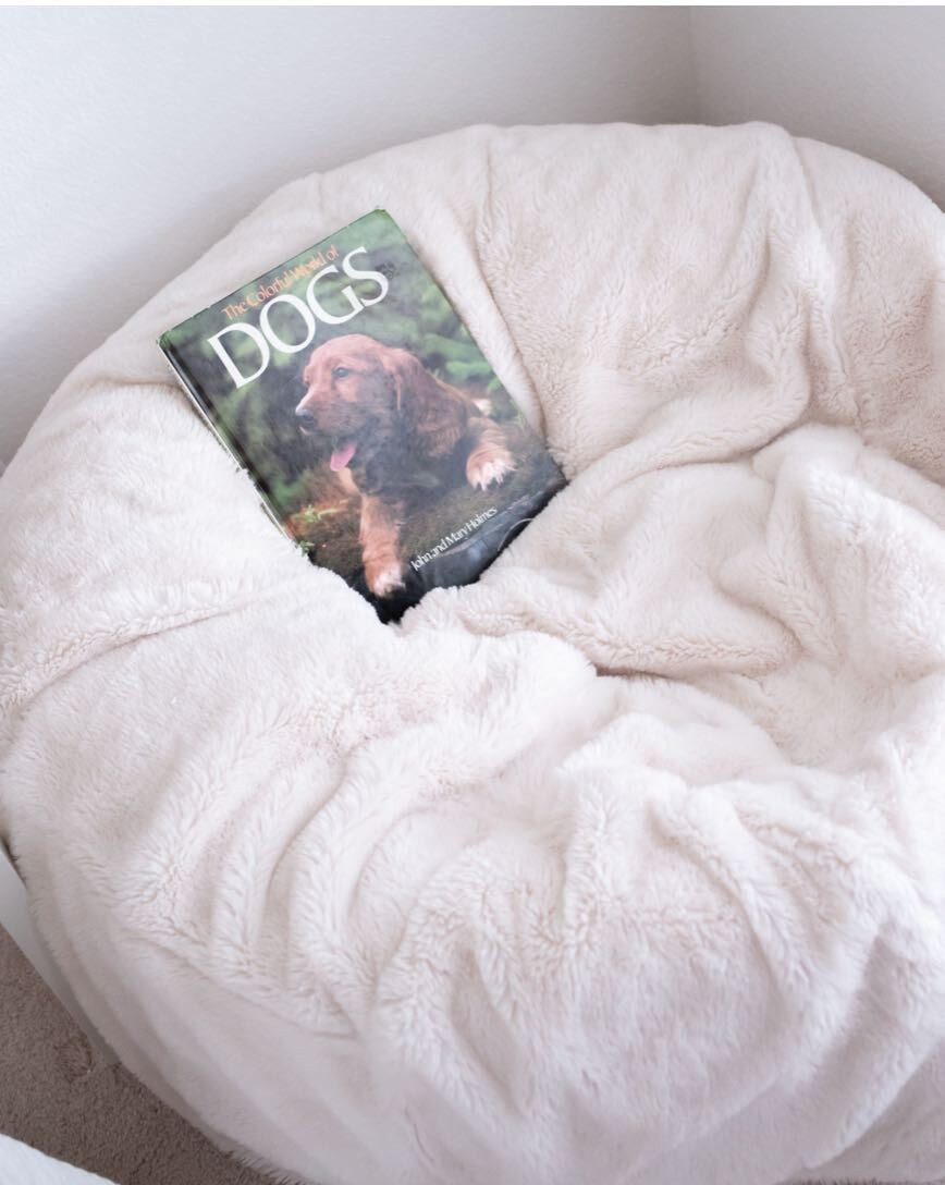 This sherpa bean bag chair is a family favorite! On sale for $60 off!  

 

#LTKCyberWeek #LTKHome #LTKSaleAlert