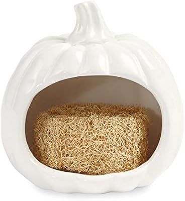 Pumpkin Sponge Holder, 4 1/2" x 3 1/2" diameter. | Amazon (US)