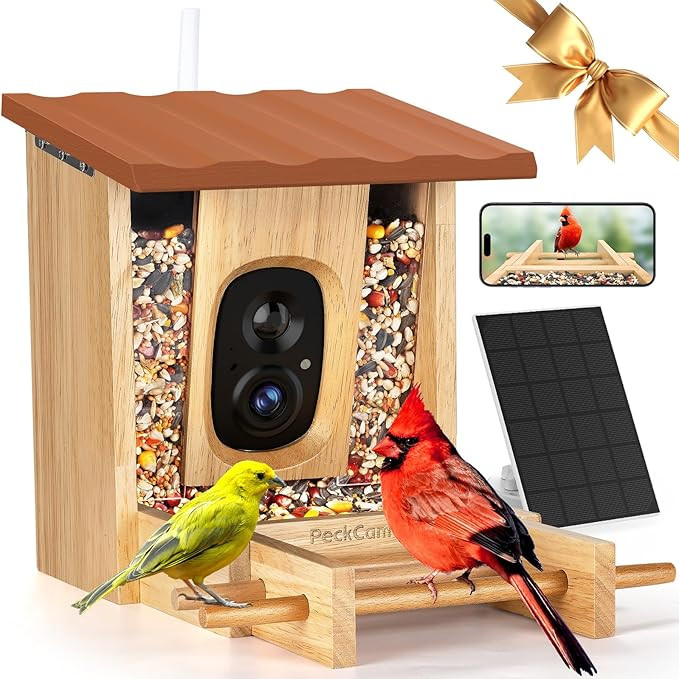 PeckCam® Bird Feeder with Camera - 4MP 2K Live AI Bird Species Identification Instant Arrival Al... | Amazon (US)