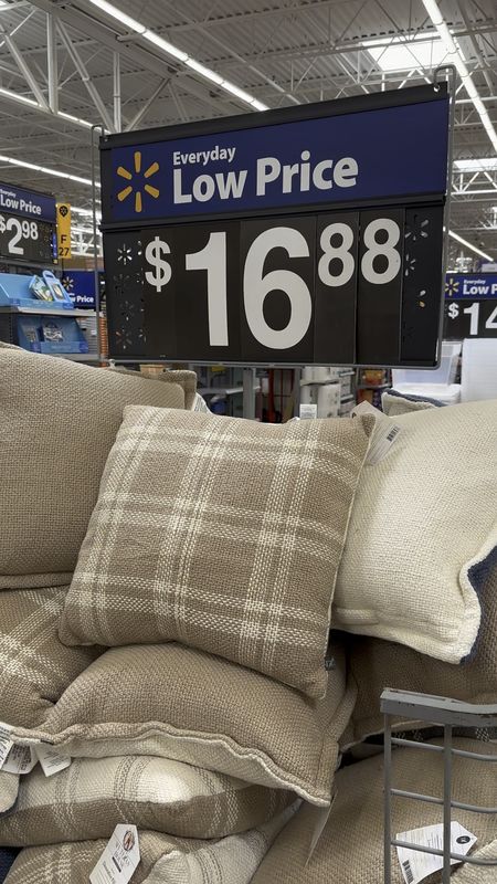 Decorative pillows for indoor or outdoor for only $16.98!

#LTKHome #LTKFindsUnder50 #LTKSeasonal