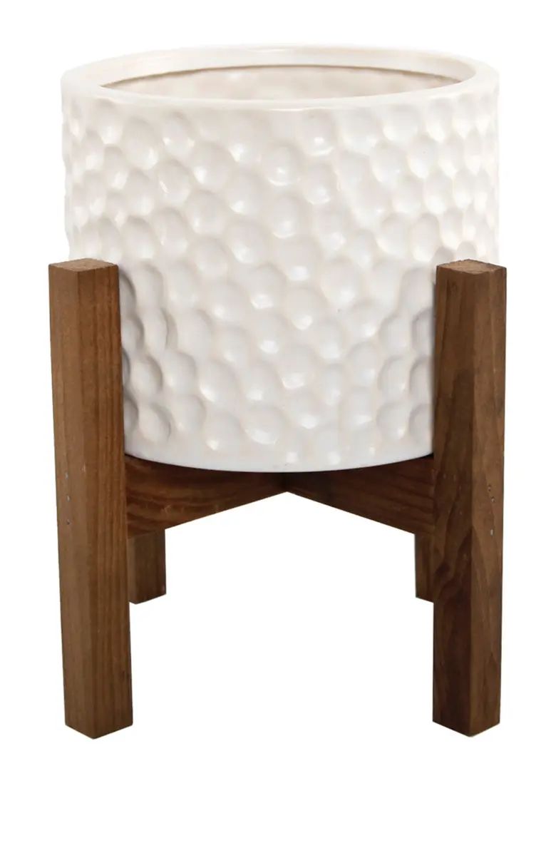 5.5" Beehive Ceramic Planter on Wood Stand | Nordstrom Rack