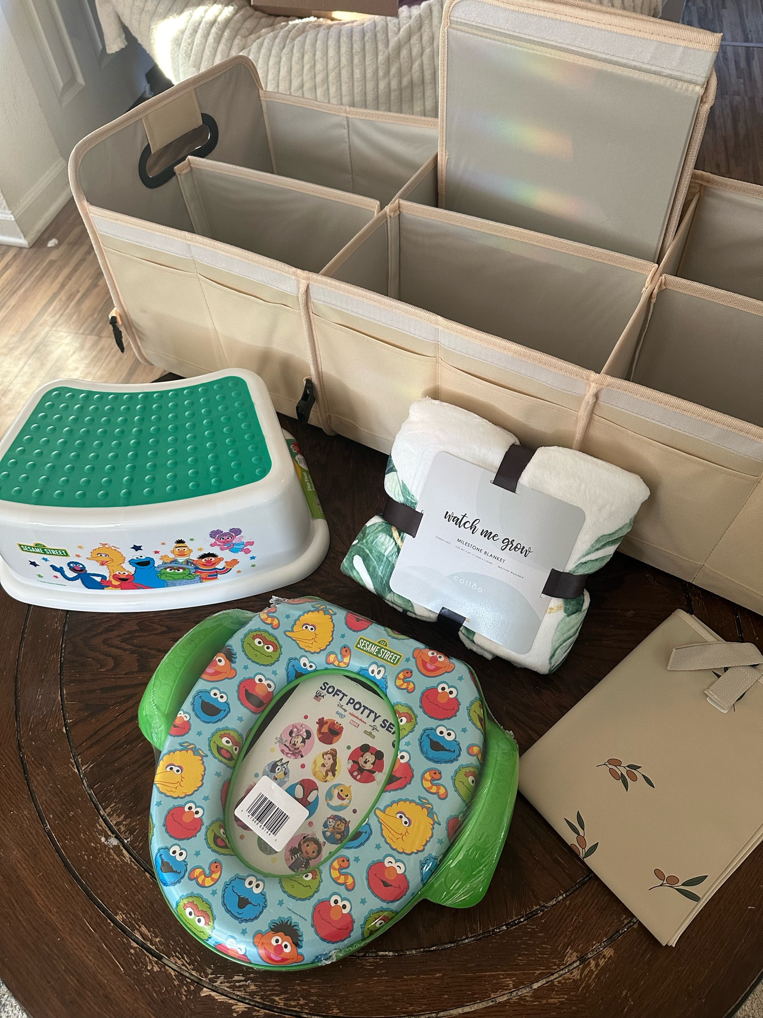 Amazon Haul - Sesame Street soft potty seat, baby monthly milestone blanket, fold up portable changing pad, car trunk organizer with lid

Newborn, toddler, potty training, Sesame Street, baby finds, baby products, mom must haves, bathroom, car products, SUV

#LTKHome #LTKKids #LTKBaby