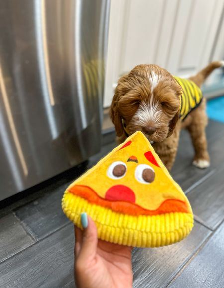 BARK Pizza Face Delivery Bag Dog Toy
#Pizza #dogtoys #bark #fashion #dogclothes #doodles #cutedogs 