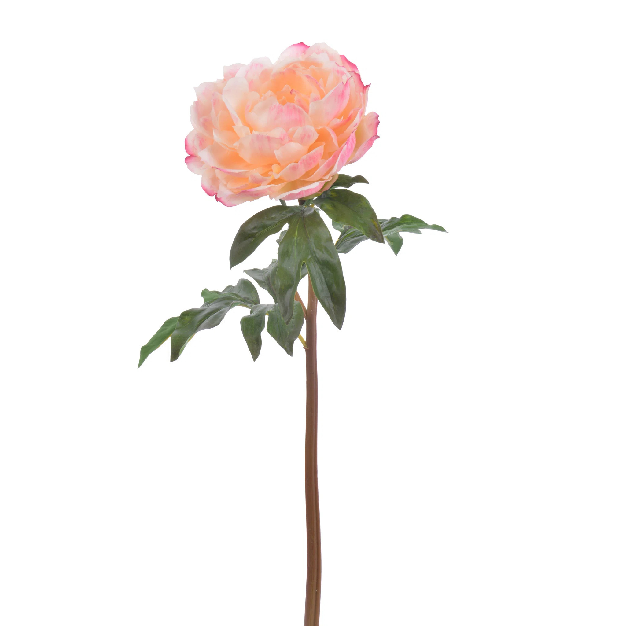 OPEN PEONY STEM | Wayfair North America