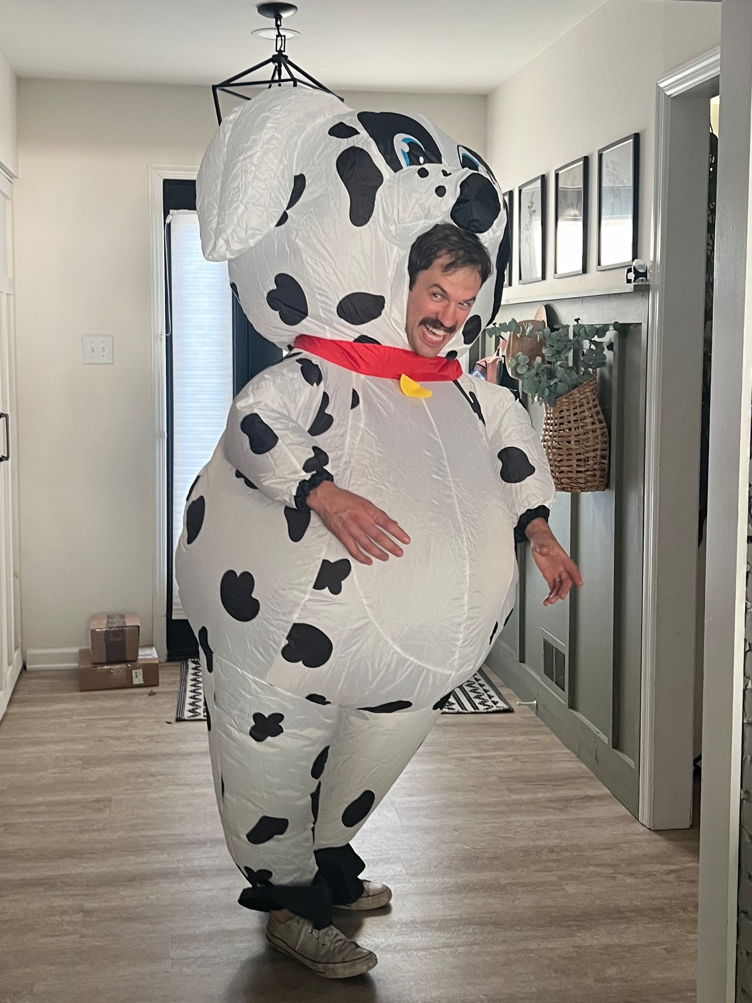 Dog inflatable costume // Dalmatian inflatable Halloween costume 

#LTKParties #LTKTall #LTKHalloween