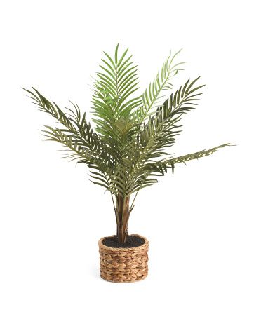 48in Faux Palm In Woven Basket With Dirt | TJ Maxx