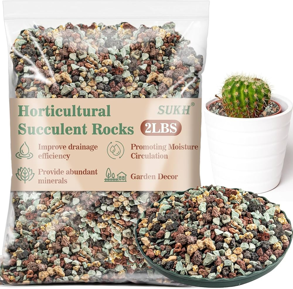 Sukh 2LBS Horticultural Succulent Rocks Bonsai Mix Succulent Potting Mix Lava Rocks Cactus Soil P... | Amazon (US)
