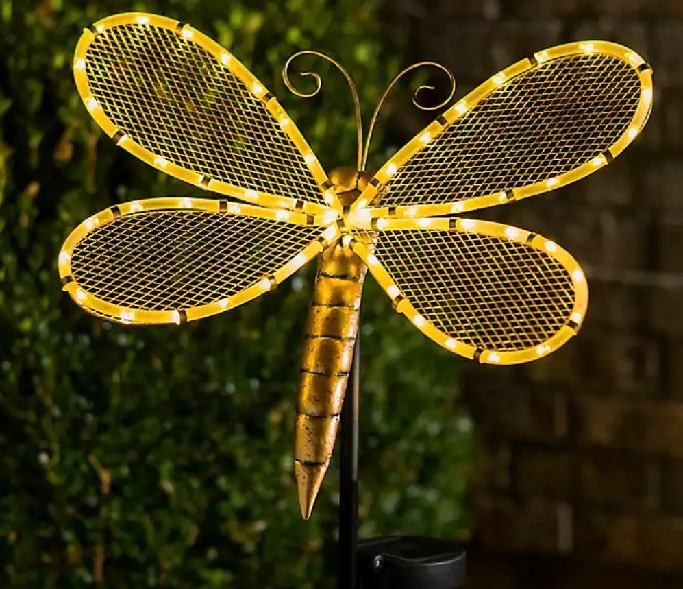 50% off solar lighting this dragonfly 🫶🏼

#LTKHome #LTKSeasonal #LTKSaleAlert