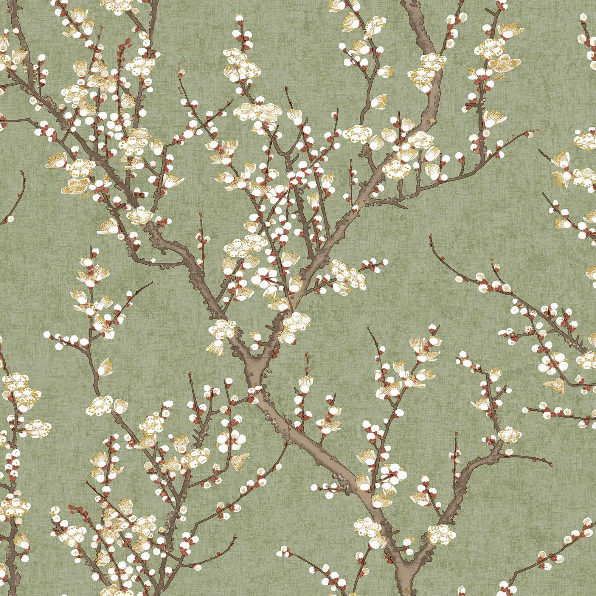 Spring Blossom Sakura Tree Design 33' L x 21" W Wallpaper Roll | Wayfair North America