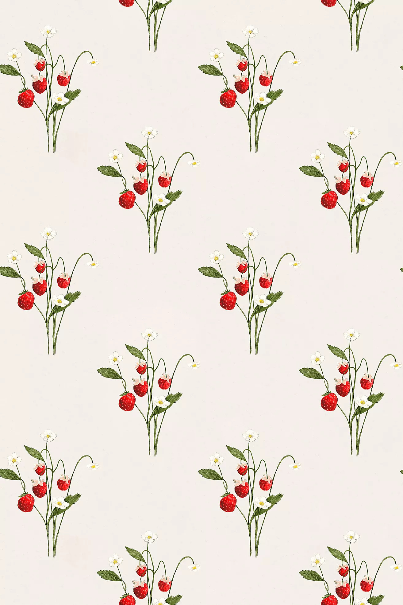 Teresia Fruit and Floral Wallpaper by Sarah Jessica Parker | Anthropologie (US)