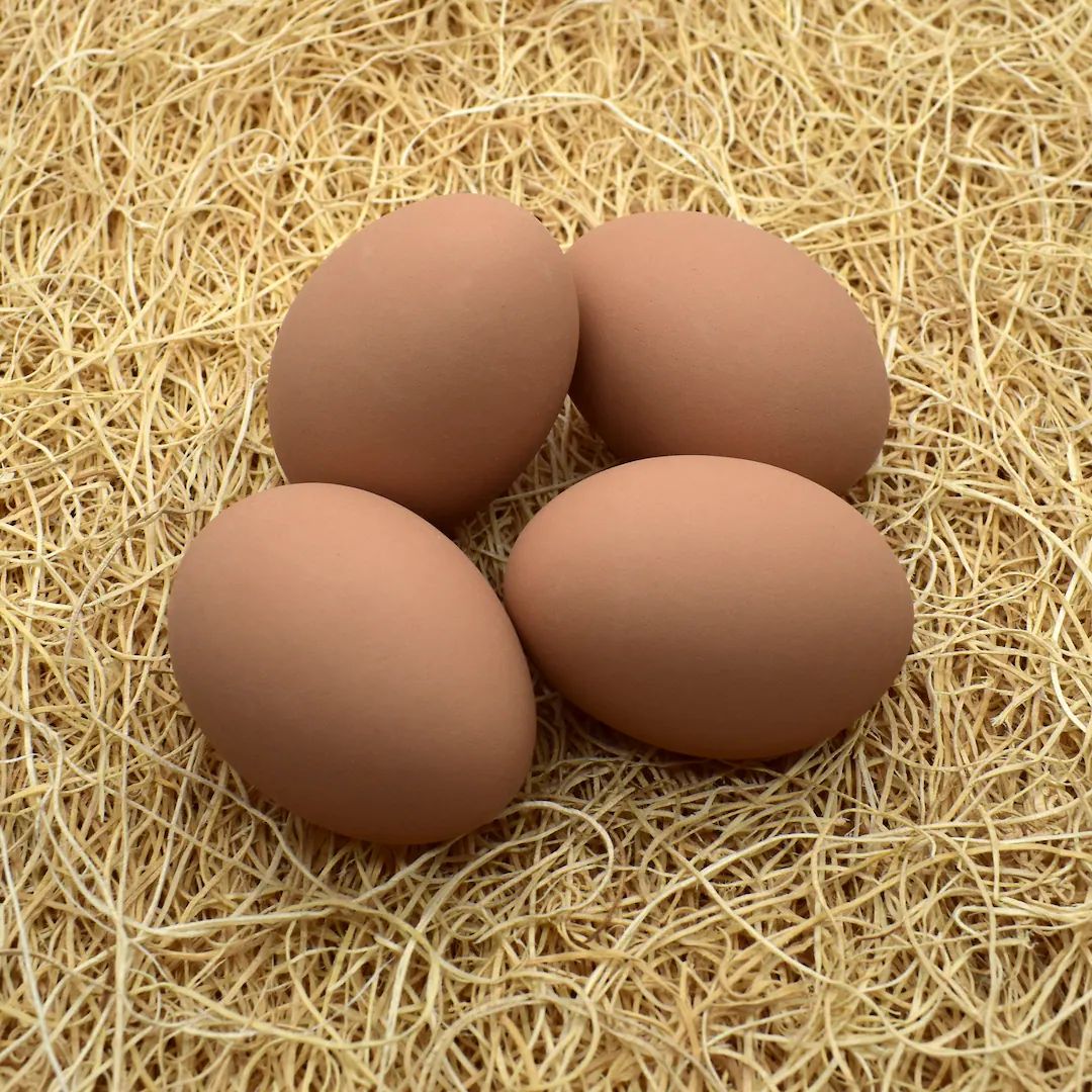 Decorative Ceramic Hen Nest Eggs (brown) - 4 pack | Etsy (US)