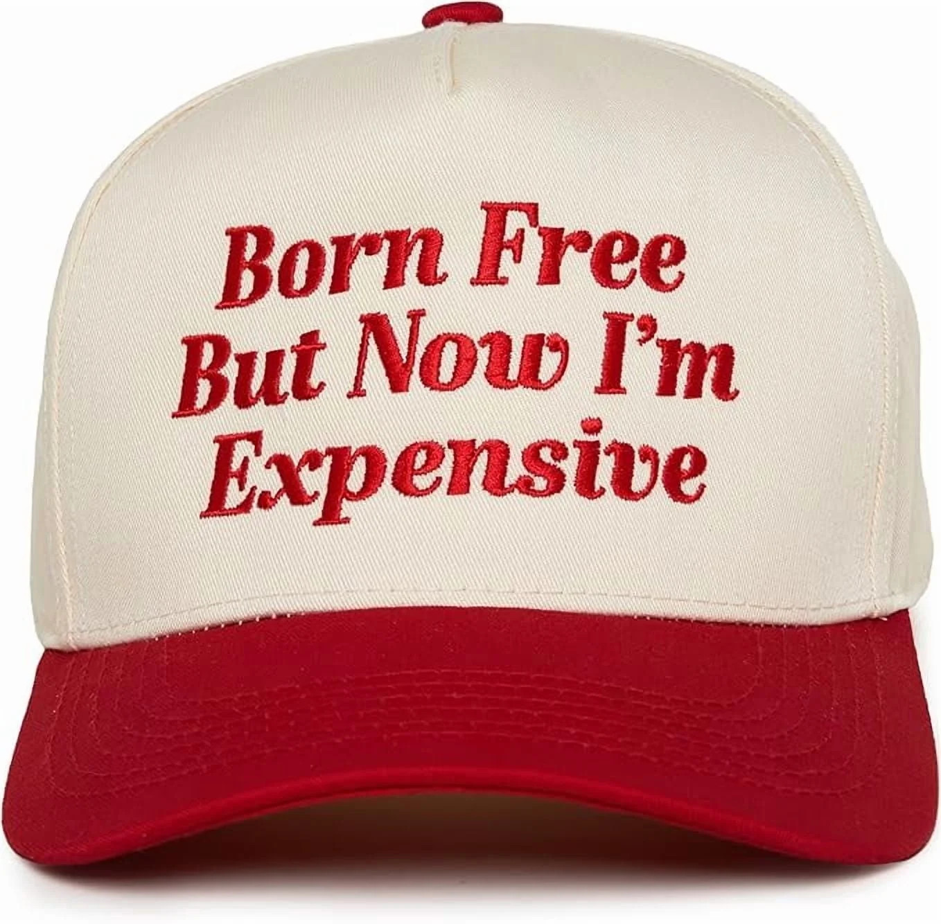 Funky Junque Trucker Hat – Vintage Snapback Baseball Cap with Embroidered Design - Born Free Bu... | Walmart (US)