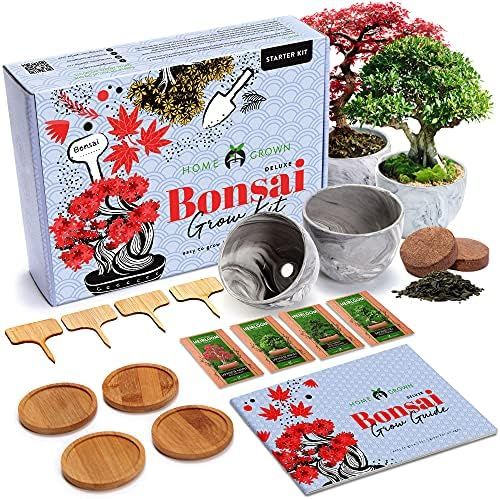 HOME GROWN Bonsai Tree Kit - Premium Bonsai Tree Starter Kit - 4 Variety of Seeds - Japanese Mapl... | Amazon (US)
