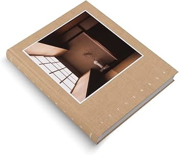 Stillness: An Exploration of Japanese Aesthetics in Architecture and Design | Amazon (US)