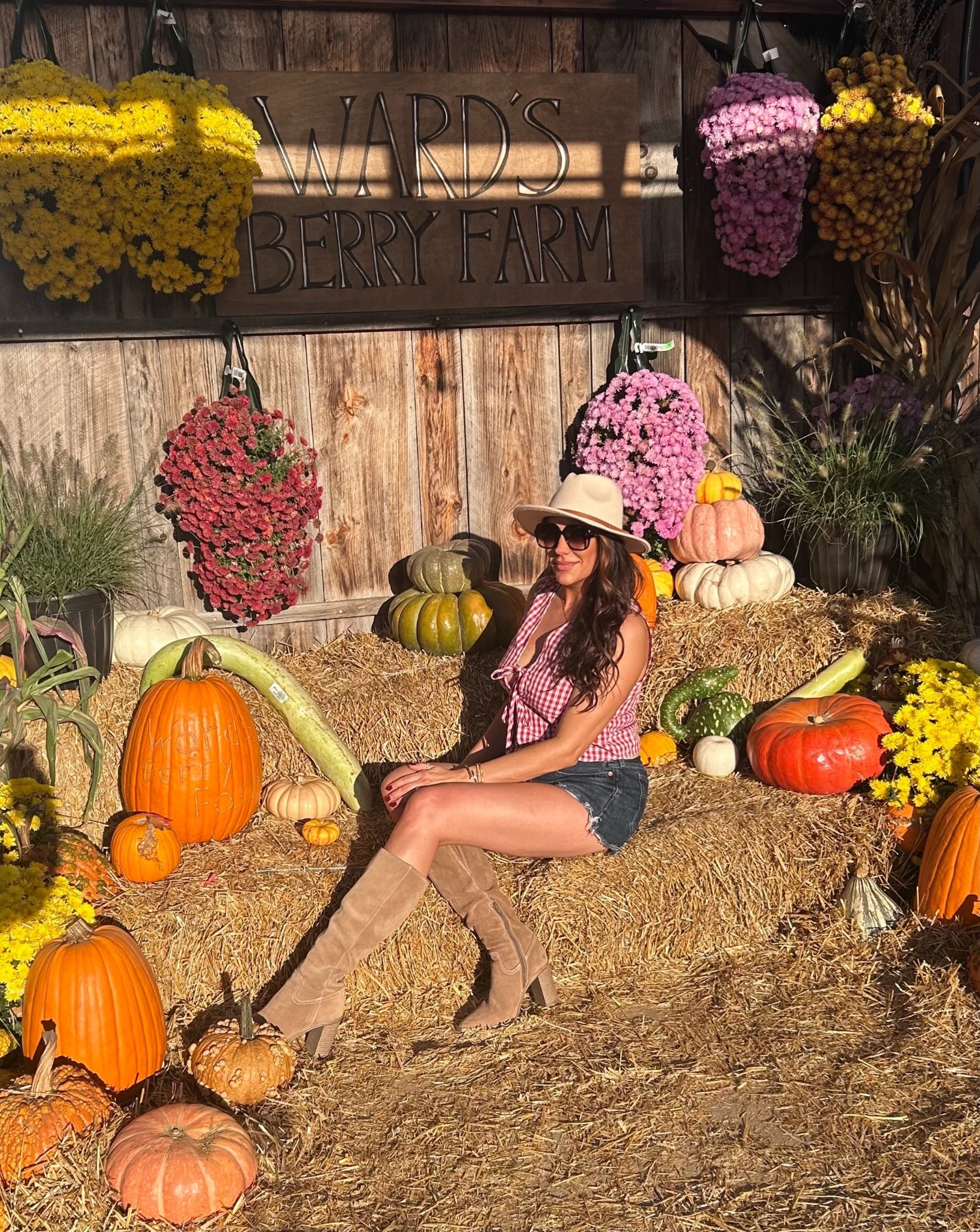 Daisy dukes and fall vibes on this 80° day 🍂☀️

#LTKFindsUnder50 #LTKSeasonal #LTKStyleTip
