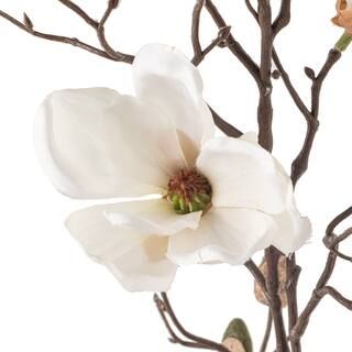 White Magnolia Branch Stem by Ashland® | Michaels Stores