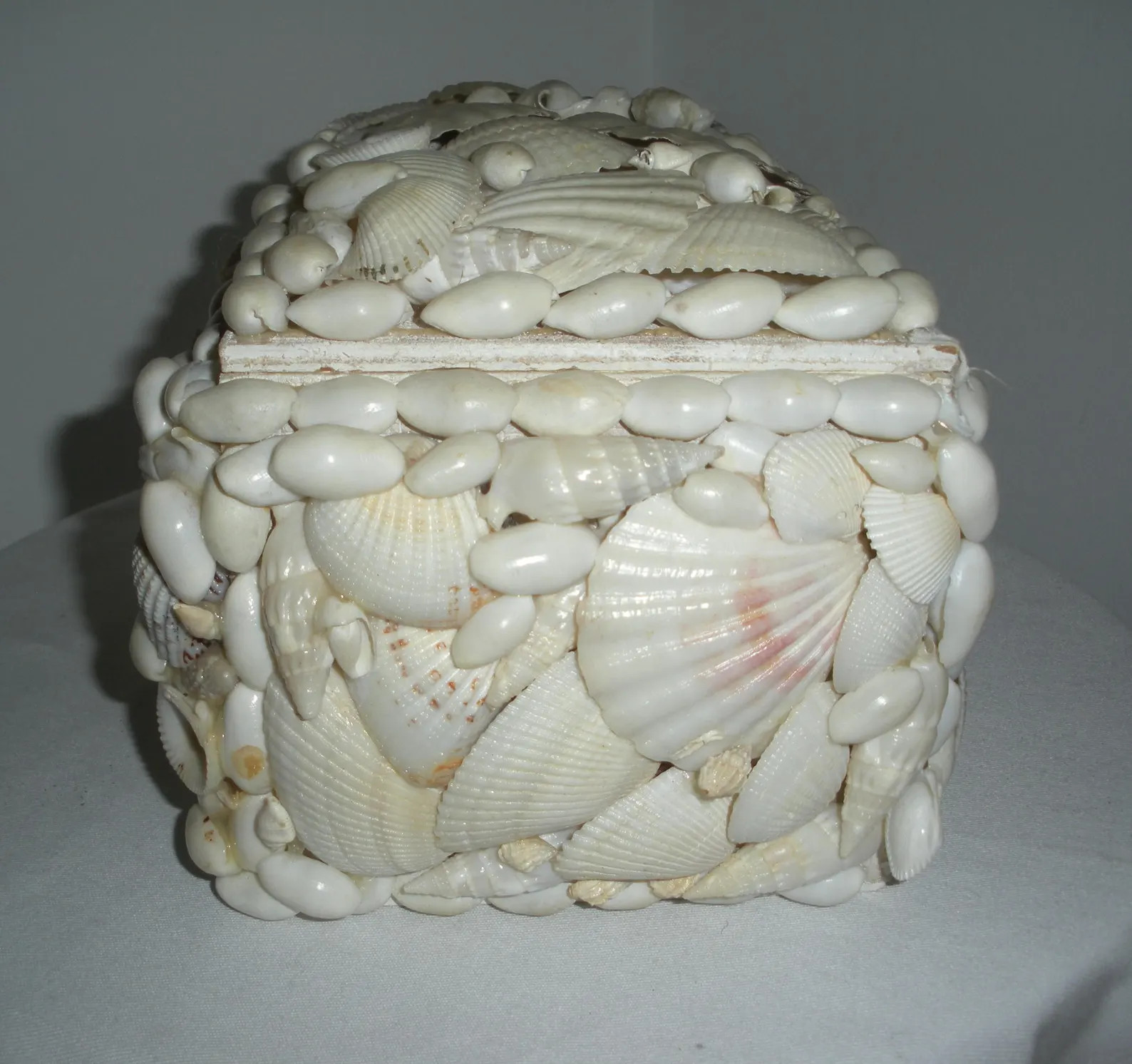 Vintage White Shell Encrusted Trinket Box Sea Shell Covered Storage | Etsy (Global)