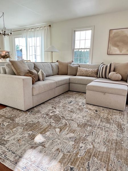 The prettiest and most durable rug ever! The muted neutral tones are for gorgeous with some pops for interest. So good for Pets and children! 

#rug #rugs #neutral #homedecor #livingroom 

#LTKBeauty #LTKSaleAlert #LTKHome