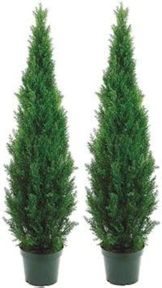 Two 5 Foot Outdoor Artificial Cedar Topiary Trees Potted Plants Two Peace Construction | Amazon (US)
