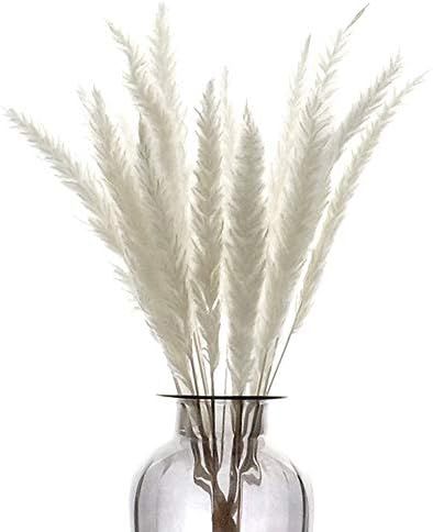 Lishiny 15 Pcs Dried Small Pampas Grass Phragmites Communis Decoration for Home Store Wedding (Wh... | Amazon (US)