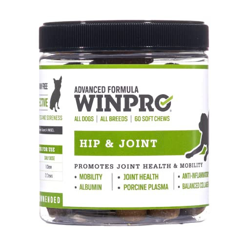WINPRO Hip & Joint Supplement for Dogs - Plasma Powered Chews for Joint Health & Mobility – Fast-Acting with Collagen & Natural Ingredients for Dogs of All Breeds – 60 Chews – Made in USA | Amazon (US)