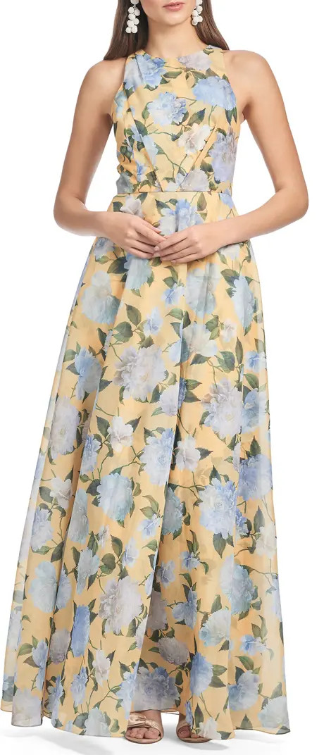 Kate Floral Print Sleeveless Gown | Nordstrom
