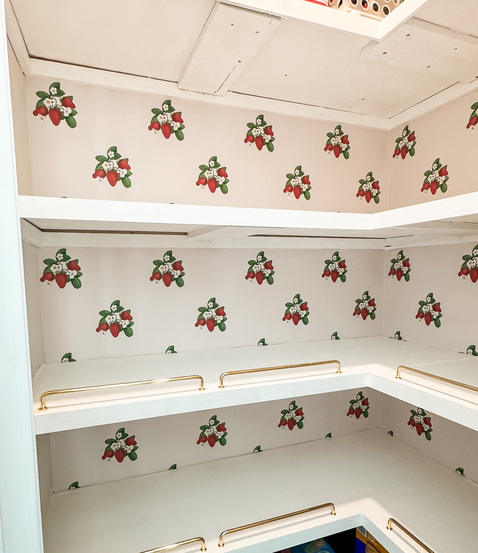 The Completed Pantry! || Grand Millennial Home | Pantry Update | Cottage Core Aesthetic | Grand Millennial Style || 

#LTKStyleTip #LTKHome