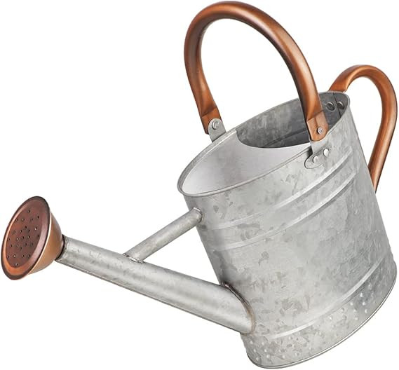 1 Gallon Metal Watering Can with Removable Spout, Nice Galvanized Steel Water Can with Embossed D... | Amazon (US)
