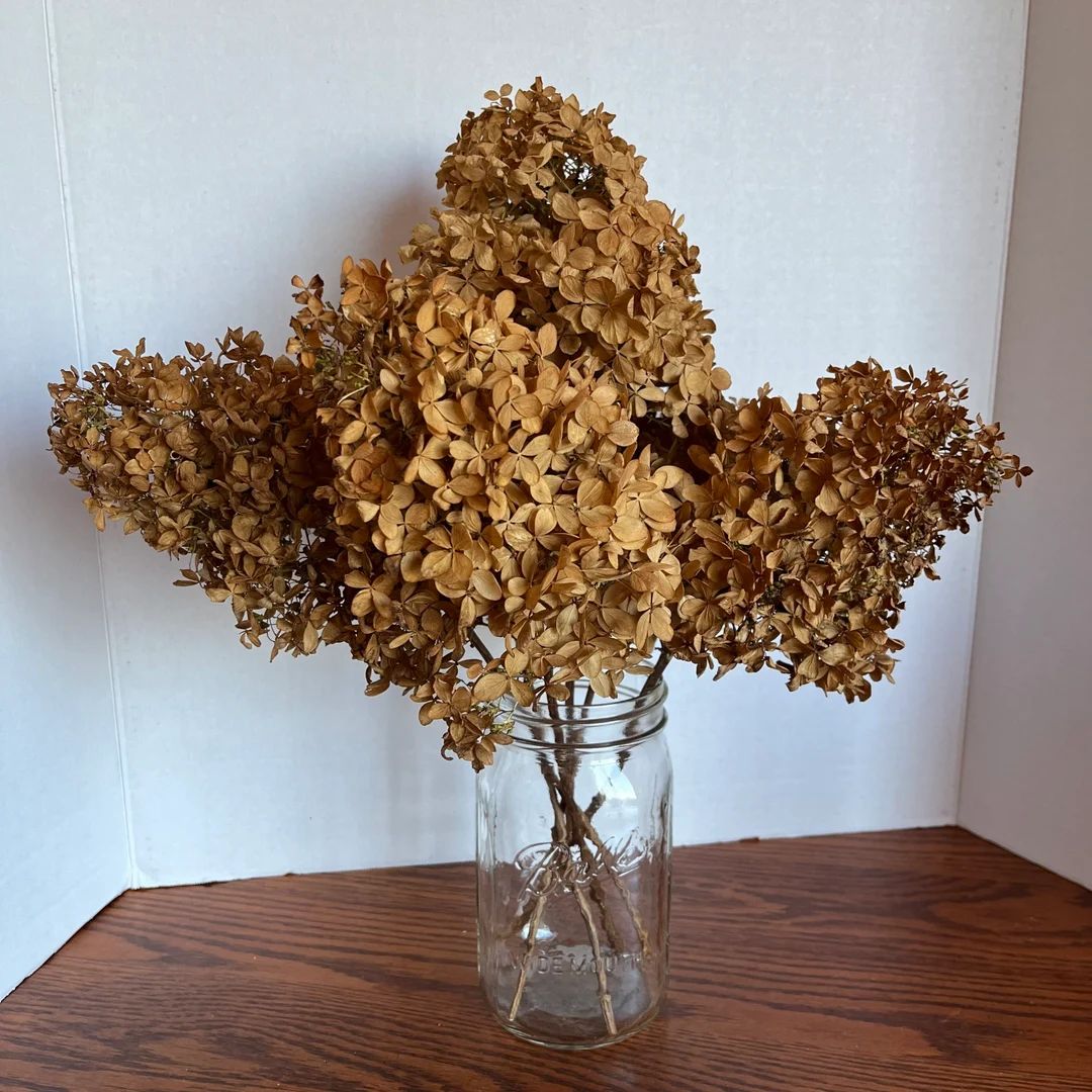 Dried Hydrangea Flowers | Etsy (US)