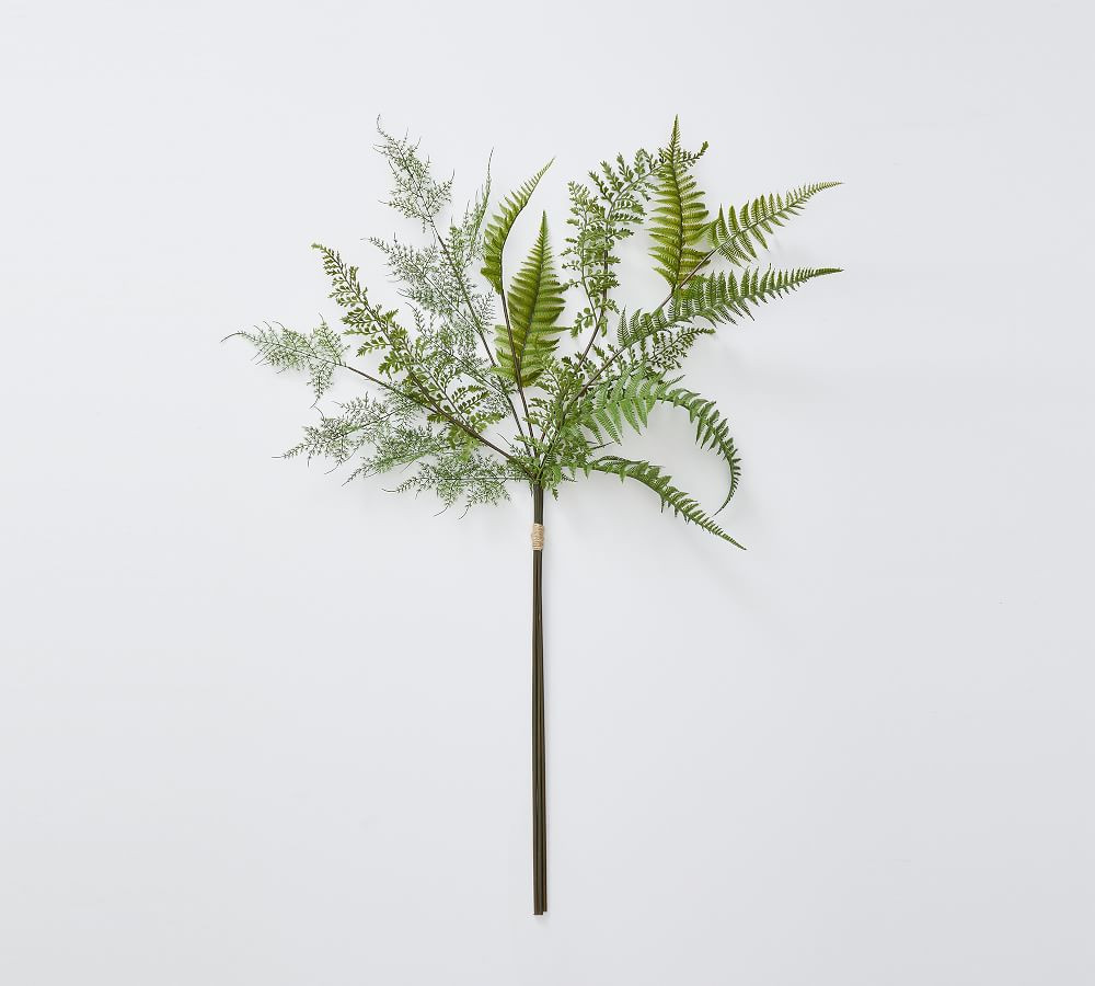Faux Fern Bundle | Pottery Barn (US)