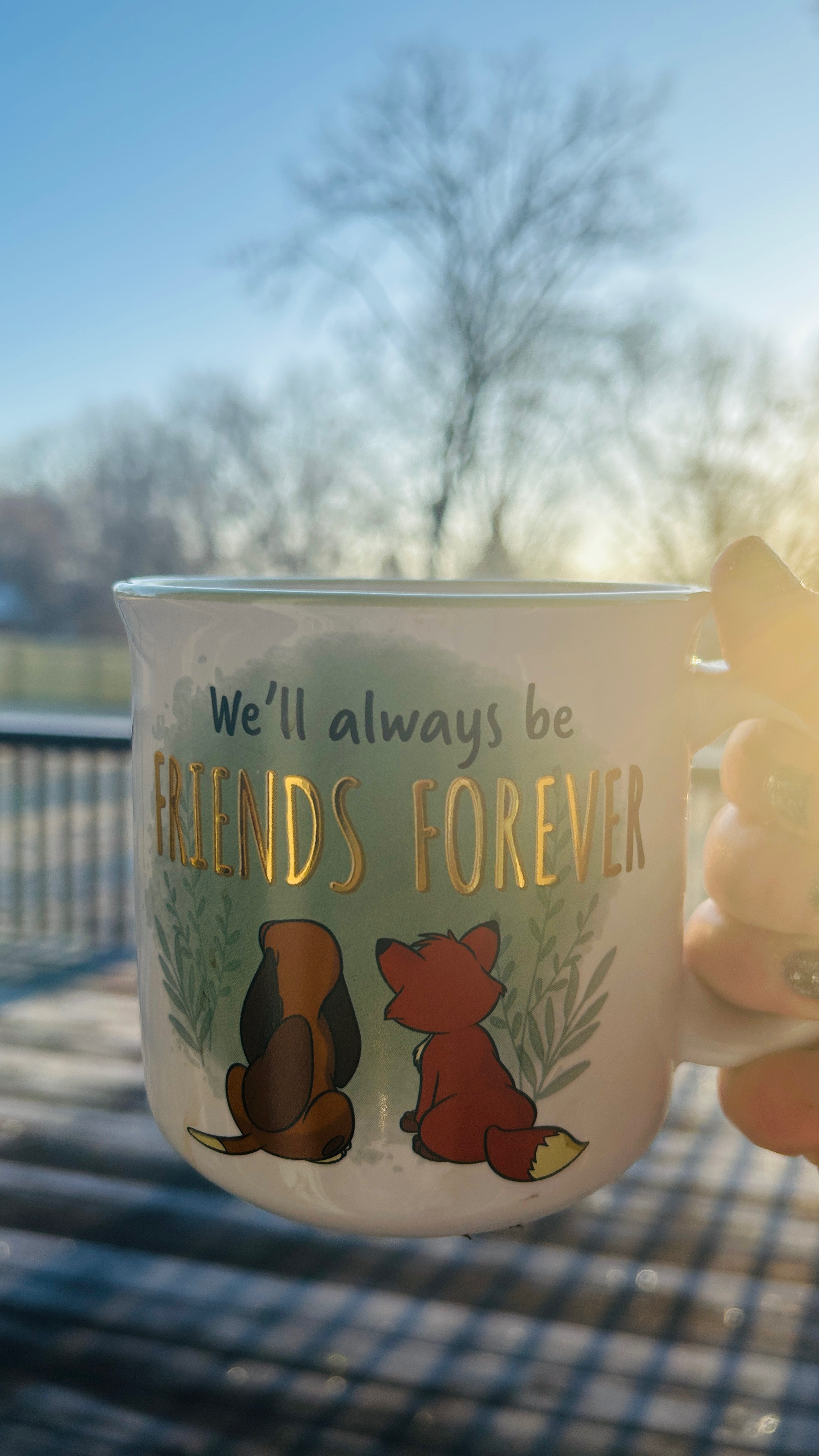 Morning coffee is always better with friends...❤️ 🦊🐶

#LTKFindsUnder100 #LTKWatchNow #LTKHome