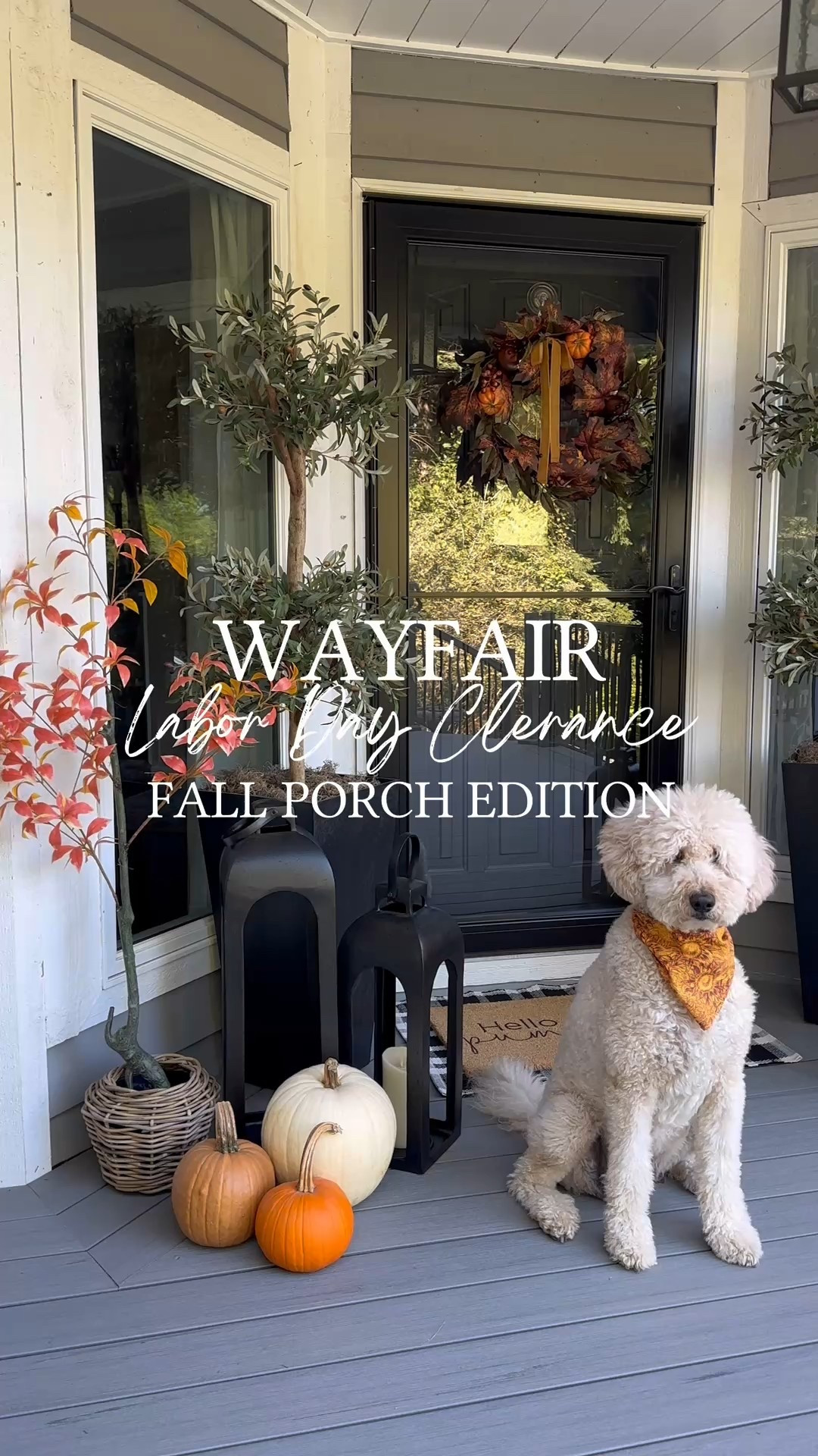 #ad There’s no better time to refresh your porch for fall than during @Wayfair’s Labor Day Clearance! 🍂

Follow @farmtotablecreations on Instagram for more cozy fall styling.

I added a new wreath, layered rugs, faux fall trees, baskets, and pumpkins—all the warm touches to welcome the season. With up to 70% off and free shipping over $35, these affordable finds made styling our porch effortless.

#wayfairpartner #wayfair #fallporchdecor #porchstyling #outdoorentryway #fallwreath #layeredrugs #pumpkindecor #frontporchideas #autumndecor #fallfinds #ltkhome #ltkfall #liketkit #LTKsale #LTKporch


#LTKautumn 

#LTKHome #LTKSaleAlert