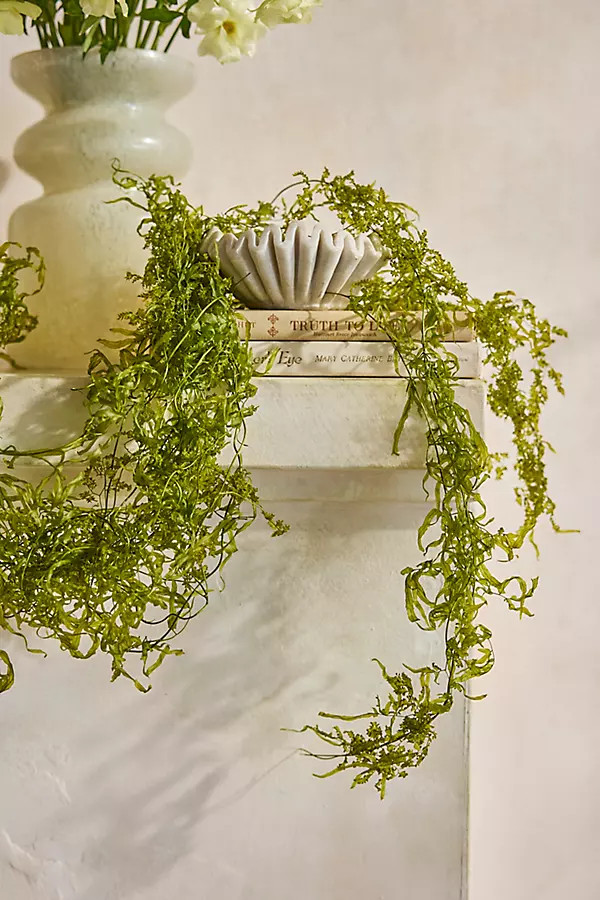 Dried Sanwee Vine Bunch | Anthropologie (US)