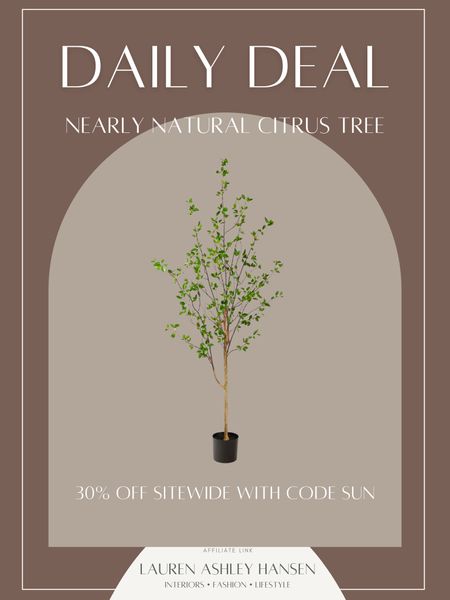 My absolute favorite faux tree! This Citrus tree from Nearly Natural is so beautiful and has been a top seller over the last year many times. It’s 30% off right now with code SUN making it the perfect time to grab it. I style mine in our home all year round 😍

#LTKstyletip #LTKsalealert #LTKhome