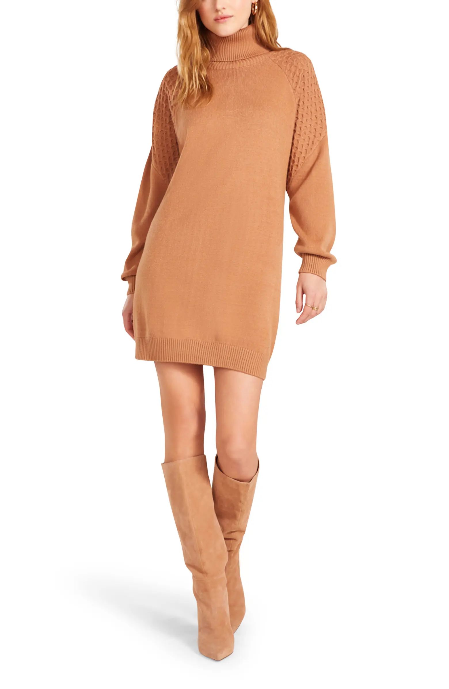Little Wing Turtleneck Long Sleeve Sweater Dress | Nordstrom