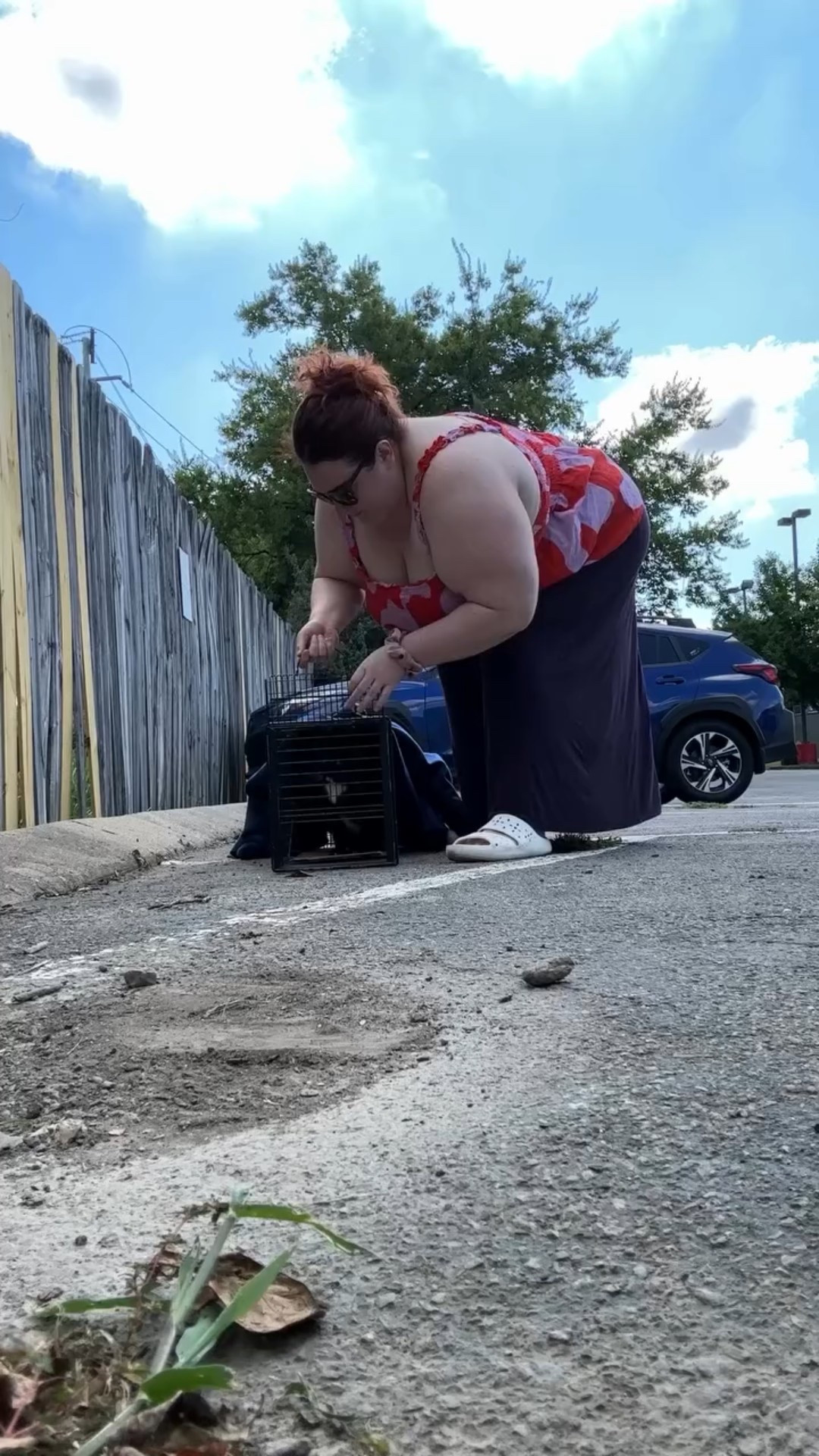 NOT AN AD! This summer at the beginning of my trapping journey, one of the first cats I trapped peed in my car. One thing about male cats is their pee stinks something terrible. It has such a strong ammonia scent. I cleaned up as much as I could and had used enzyme spray on it, but it wasn’t getting deep into the car like I needed it to. My friend mentioned she had a portable @bissellclean and I had seen the green machine before but didn’t realize they had a cordless version. I don’t have a place to plug in and clean my car so the cordless version made this process so much easier. It was so easy to use. I charged it up the night before and then filled it with water and the enzyme cleaning solution. It lasted me well over 30 minutes and because it was lightweight it was easy to maneuver around the car. You can see all the junk that came out of my brand new six month old car yuck! I have upgraded and now use better pee pads in my car to avoid this in the future. I sanitized the green machine and returned it to my friend. However, with the amount of cats I trap it’s inevitable another pee accident will happen! I have this on my Christmas list. If you’re a fellow trapper, I highly recommend having this in your arsenal. Or if you have messy kids. Or you are a messy person. I even had my friend smell my car two weeks later and the peak of summer and she said it did not smell like cat pee anymore!